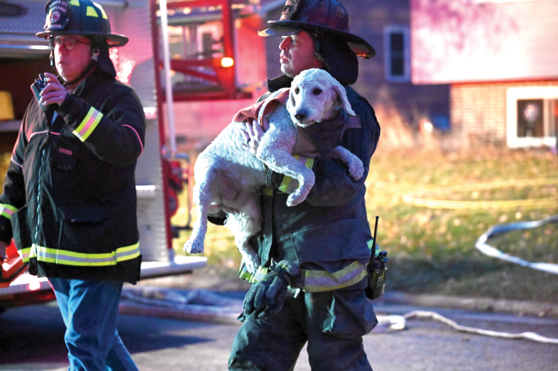 Multiple pets rescued from Webster City house fire | News, Sports, Jobs ...